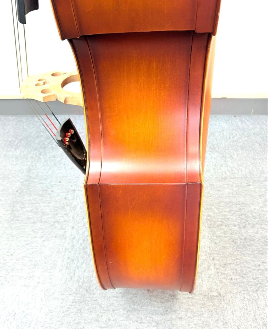 Hallstatt コントラバス WBS-800