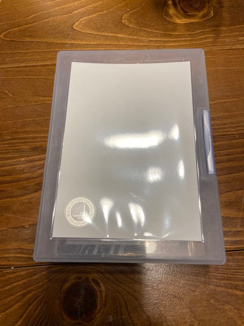 櫻坂46 藤吉夏鈴　2024 クリスマスサンタ衣装　直筆サイン