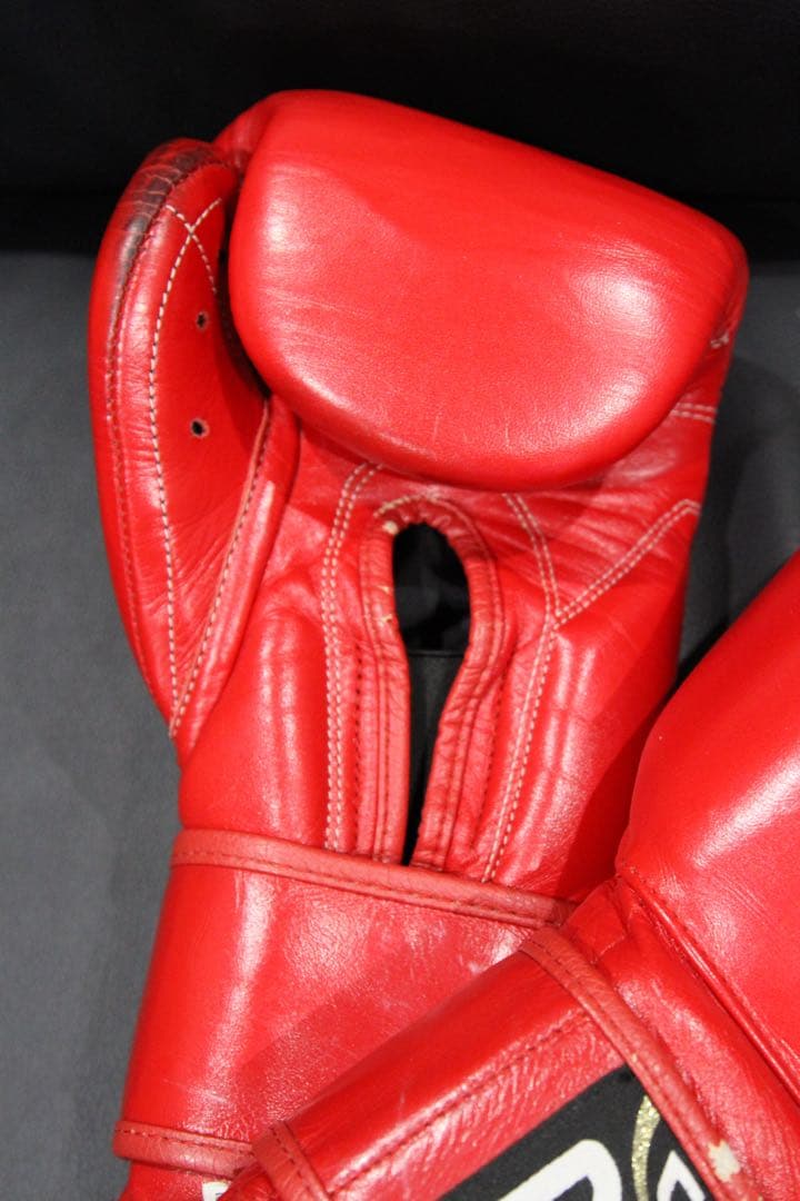 CLETO REYES ボクシンググローブ