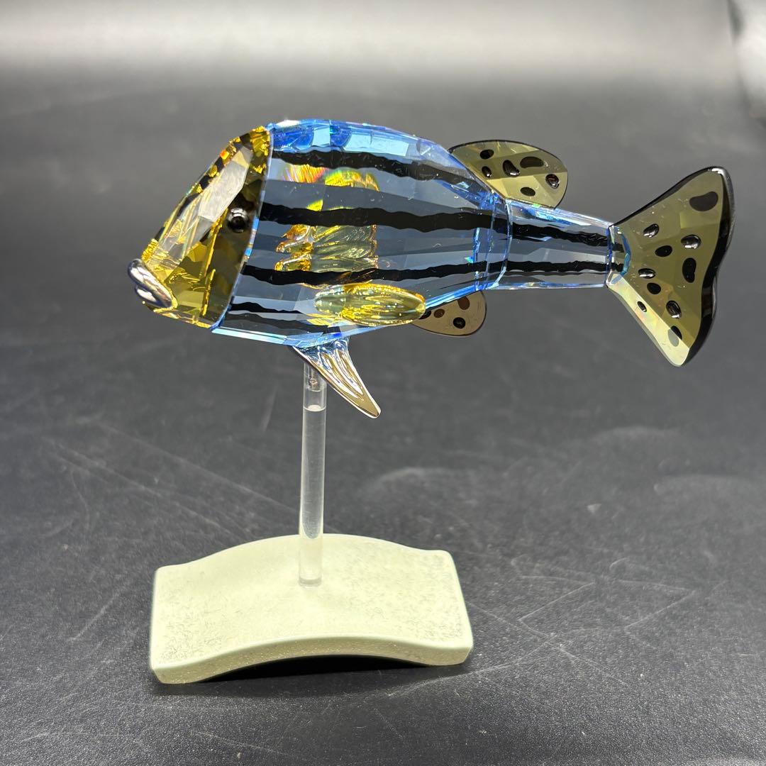 箱付き　スワロフスキー　 魚 置物 オブジェ 熱帯魚　no.175