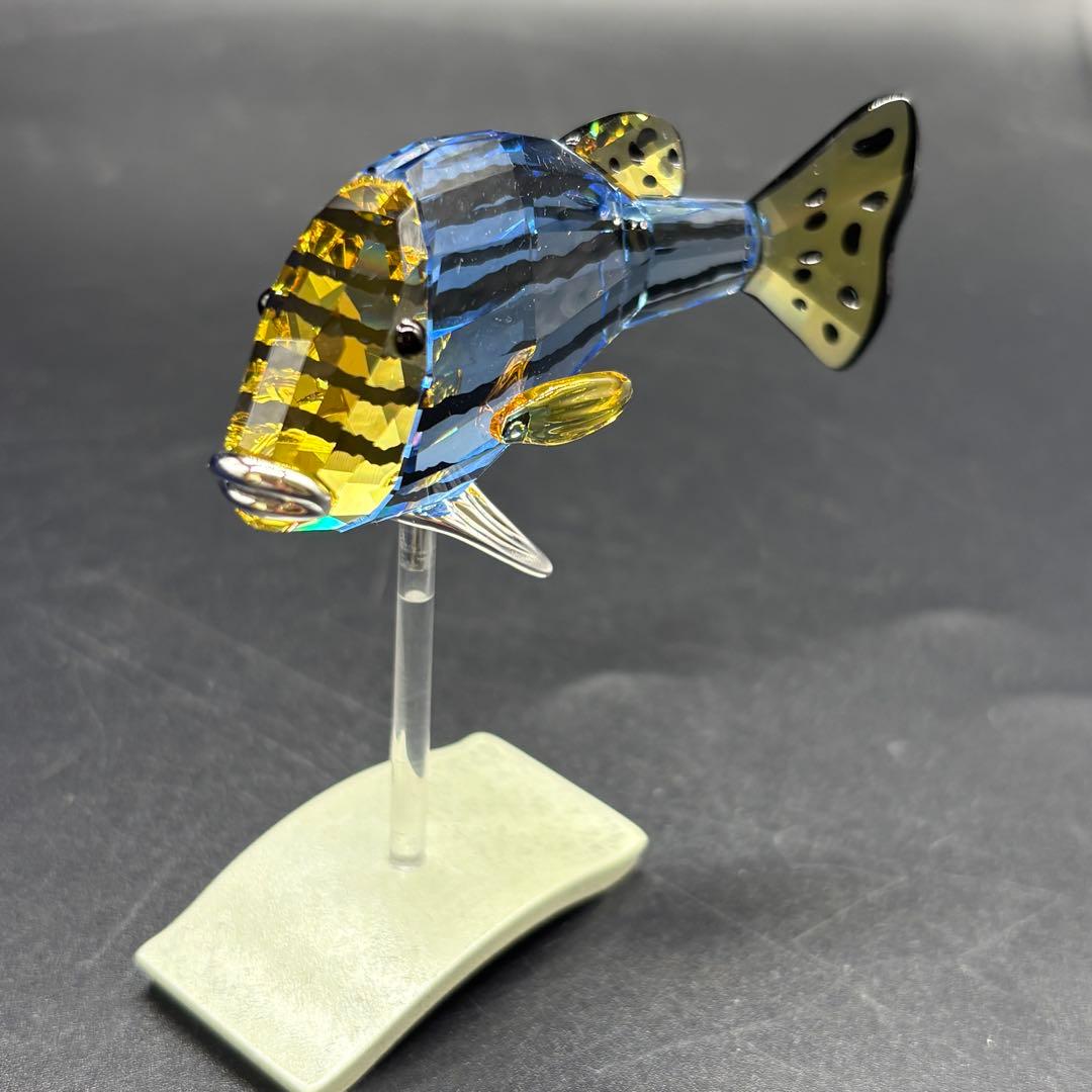 箱付き　スワロフスキー　 魚 置物 オブジェ 熱帯魚　no.175