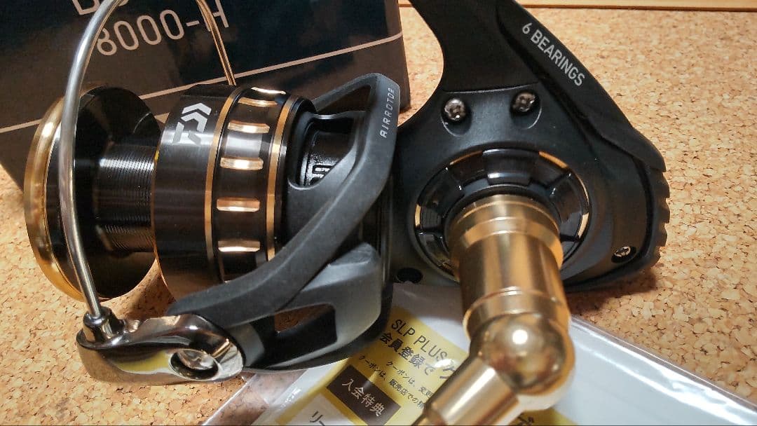 ダイワ BG SW 8000-H 新品未使用品 DAIWA