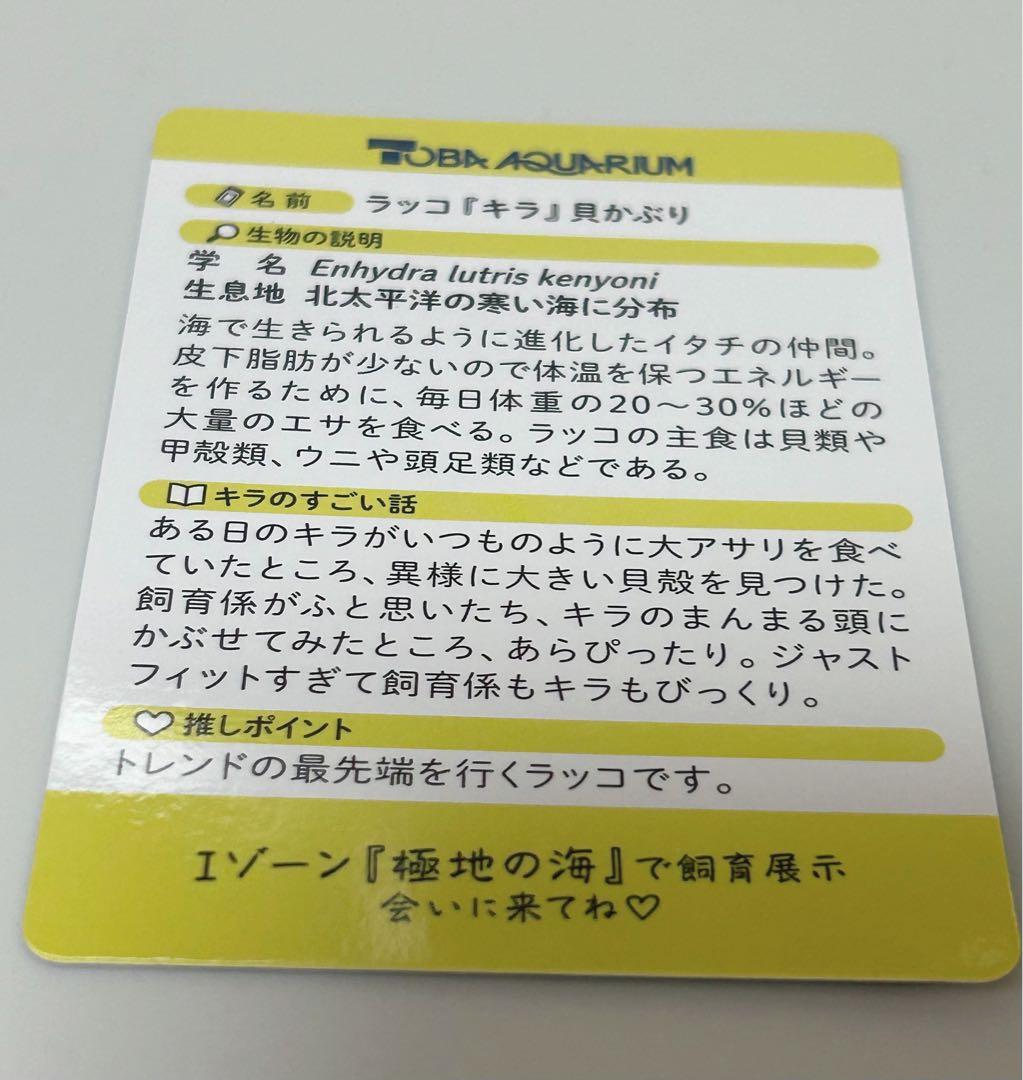 鳥羽水族館 70周年コレクションカード キラ レアカード