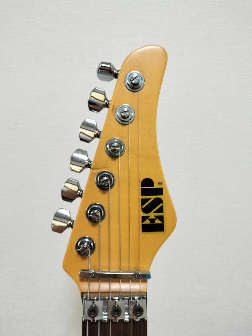 ESP オーダーメードギター　ギグケース付き