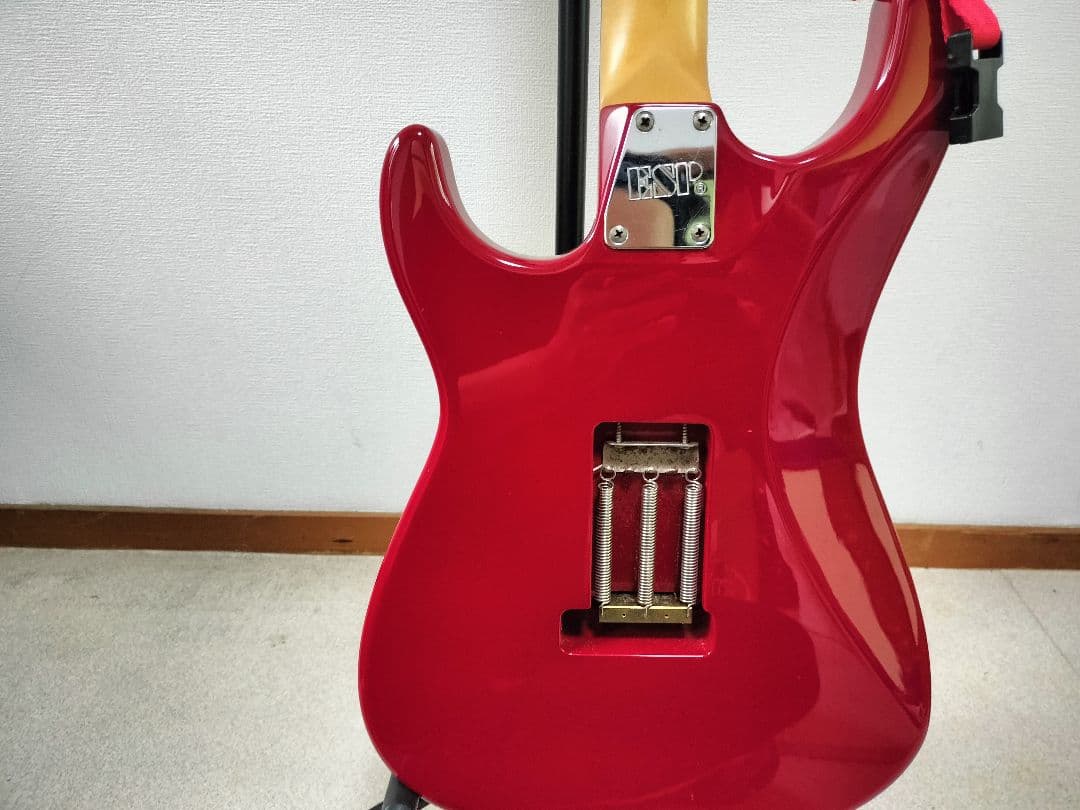 ESP オーダーメードギター　ギグケース付き