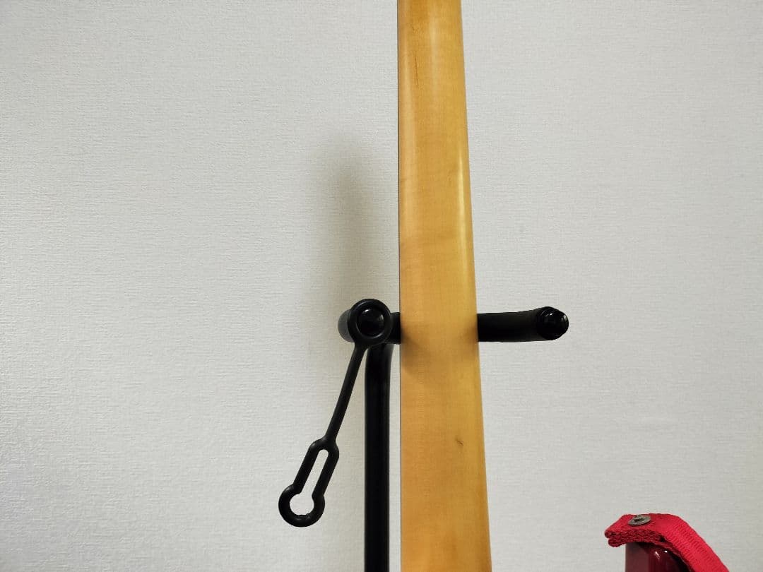 ESP オーダーメードギター　ギグケース付き