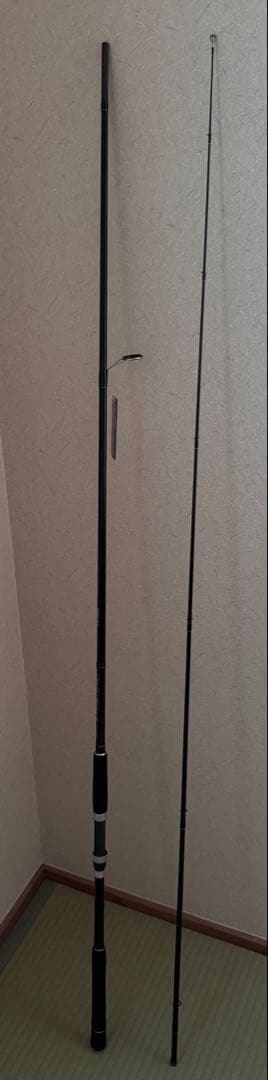 ファーストキャストシーバス