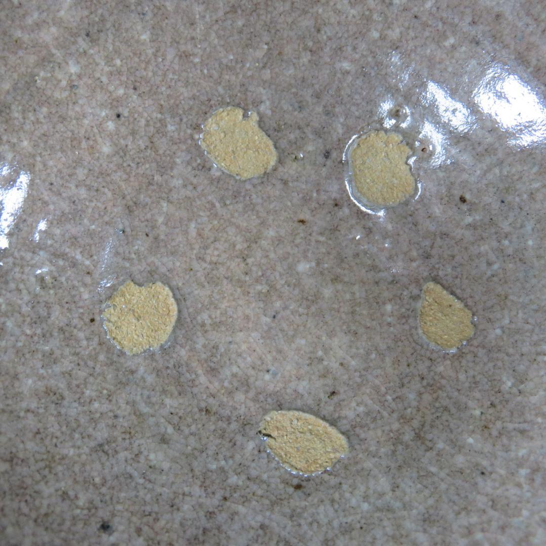 井戸茶碗 景善教 高麗茶碗 和の友 共箱 木箱 抹茶碗 茶器 茶道具