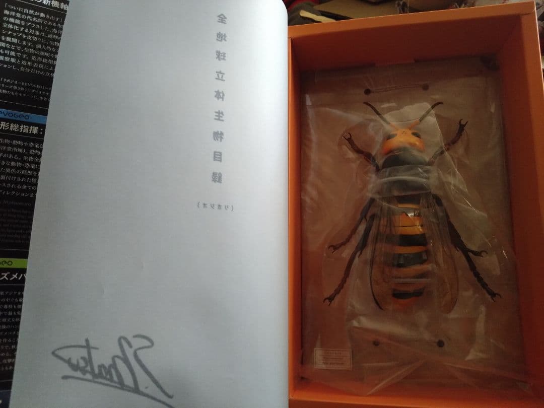 KAIYODO REVOGEO 全地球立体生物図鑑　 オオスズメバチ