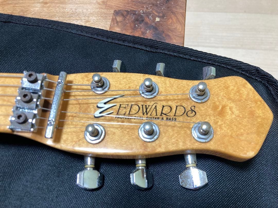 randomstar guitar エレキマン様