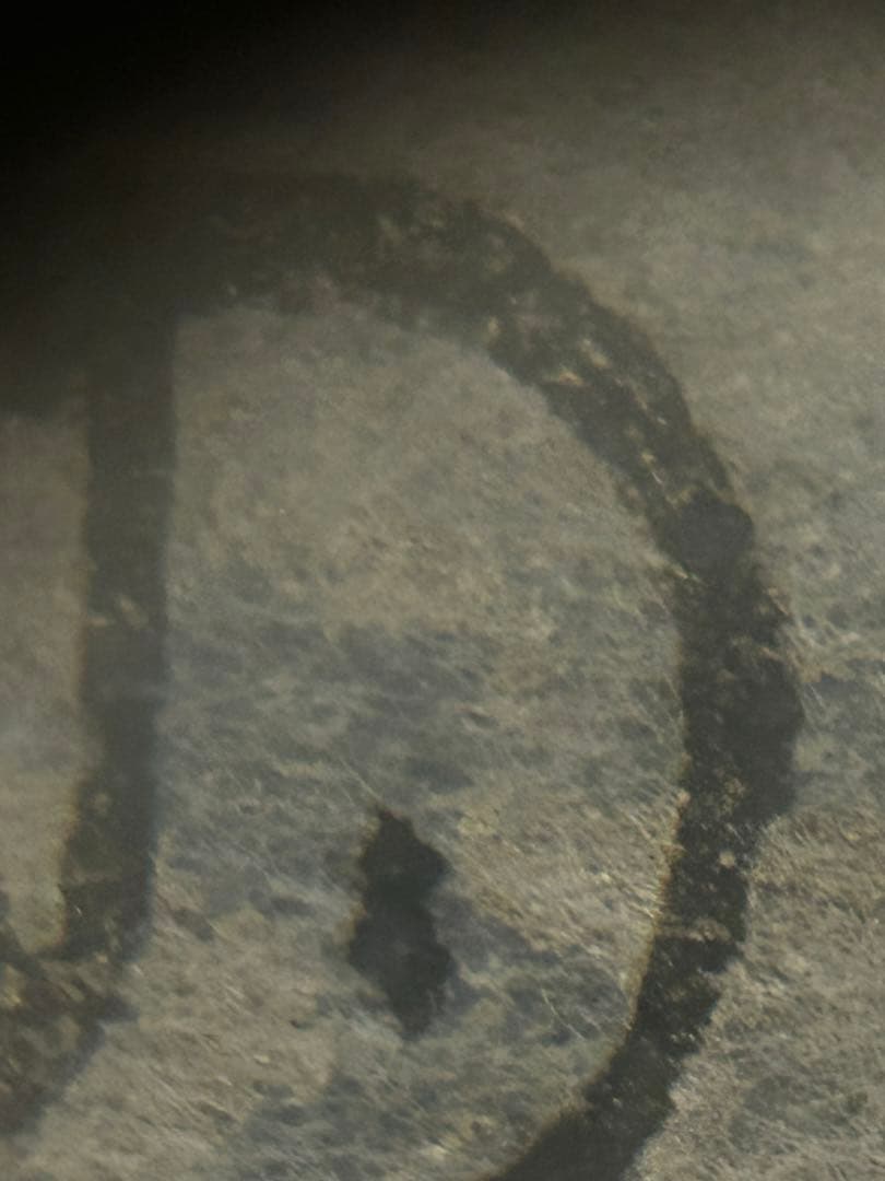 期間限定値下げ　処分価格　大倉雨村　「南天」