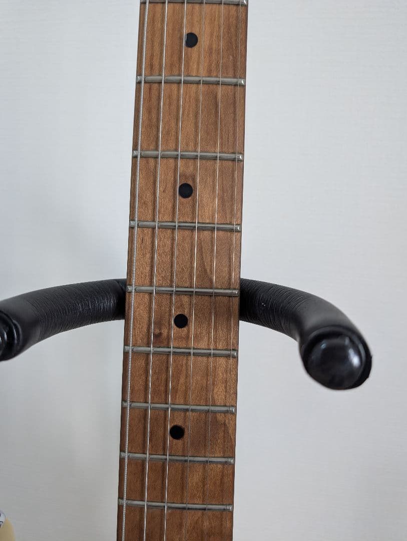 動作良好　Bacchus バッカス BSH-STD25 RSM