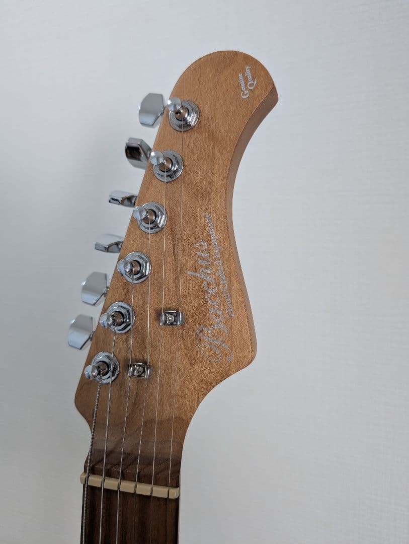 動作良好　Bacchus バッカス BSH-STD25 RSM