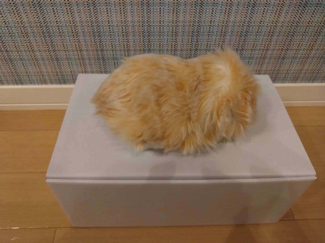 専用 中古モフリン（2ヶ月使用）