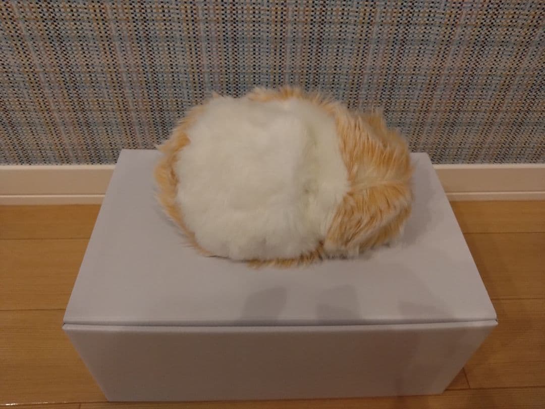 専用 中古モフリン（2ヶ月使用）