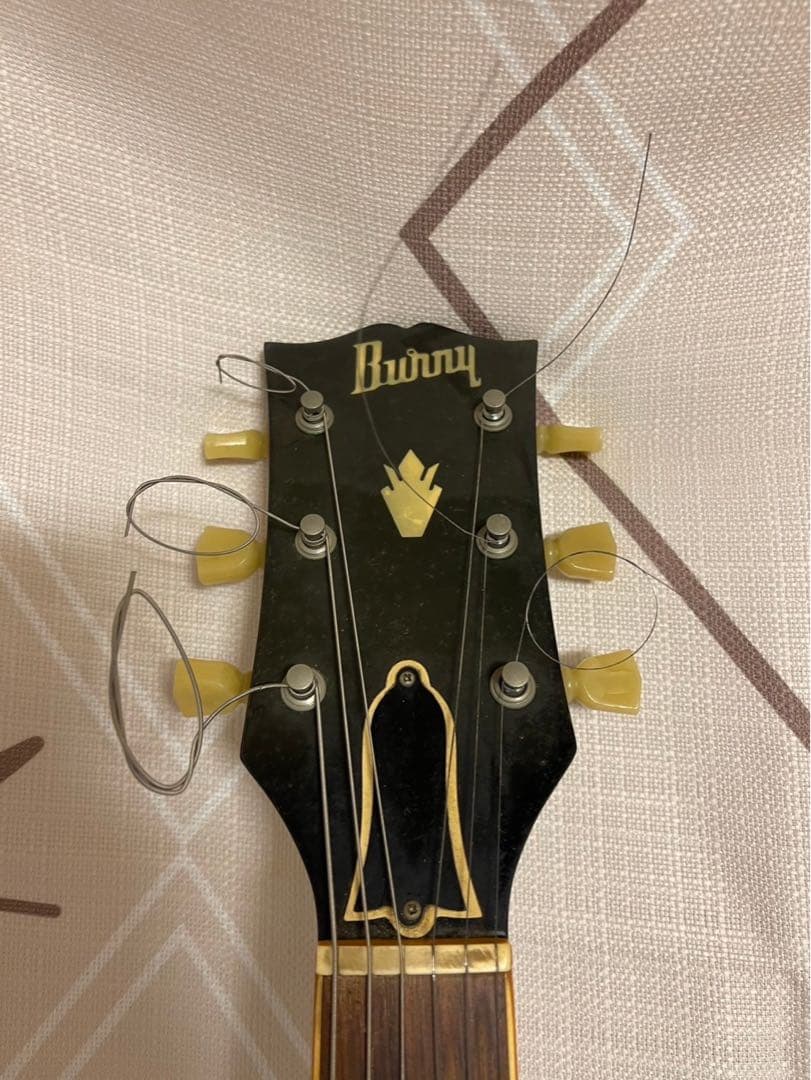ギター Burny RSG