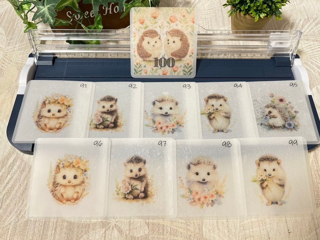 なつ様★専用ページ