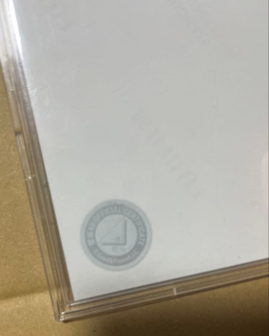 櫻坂46 守屋麗奈 直筆 サイン 生写真 ヨリ サンタ 2024