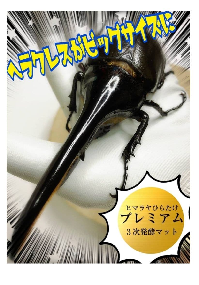 外国産カブトムシに抜群！特選☆プレミアム3次発酵マット【5袋】幼虫の餌、産卵に！