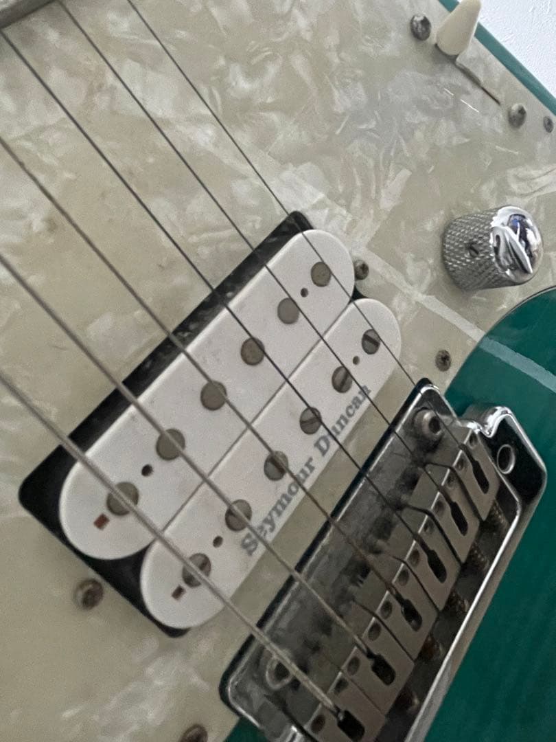 ギター Edwards Snapper E-SN-120