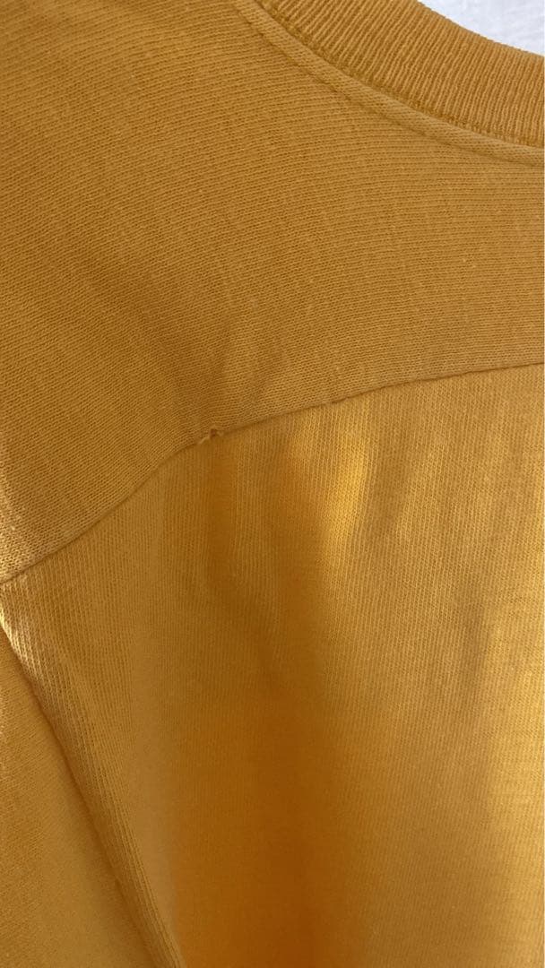 チャンピオン　ナンバリング