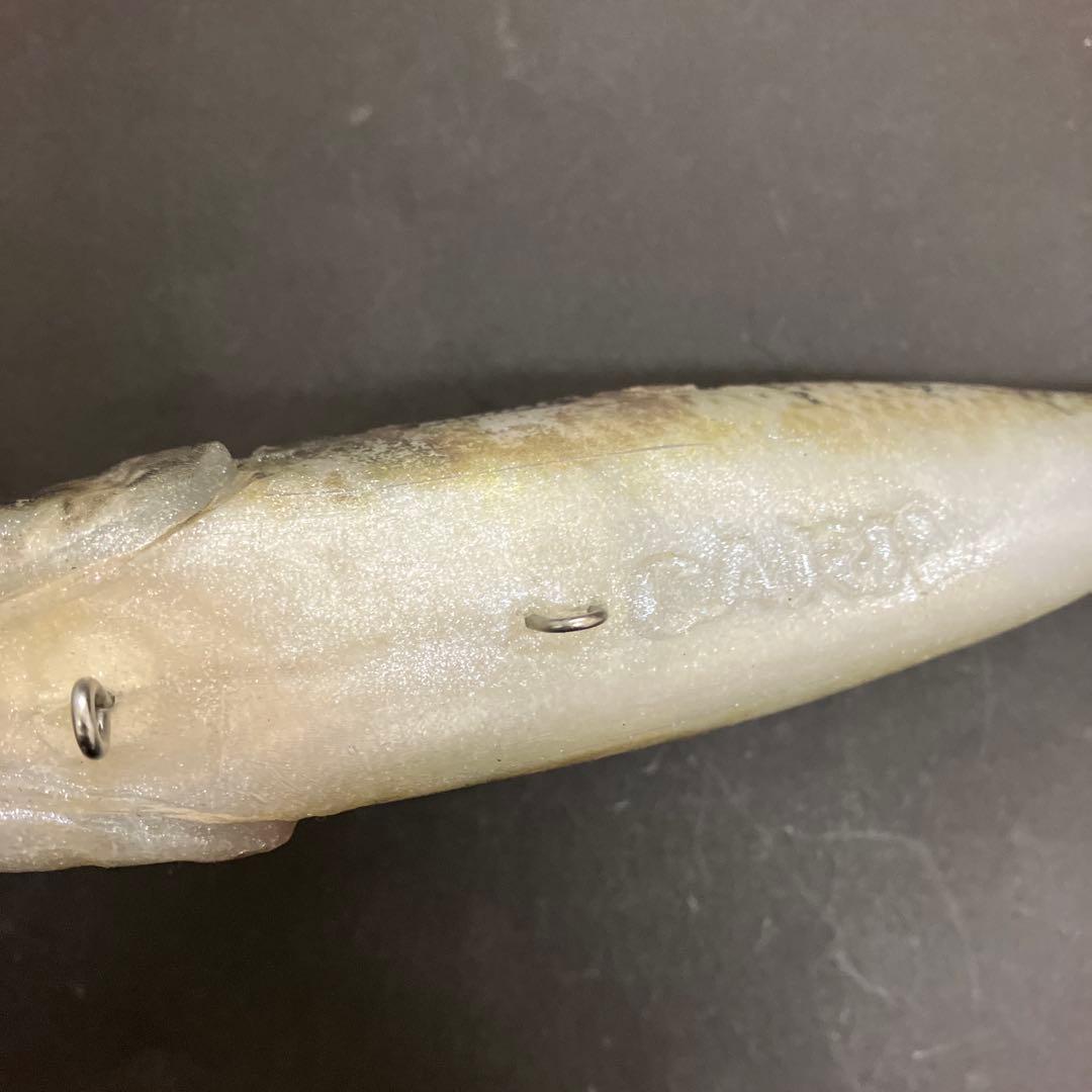 【激レア】　シグナル　カープヘッド　スモールマウス　生カラー