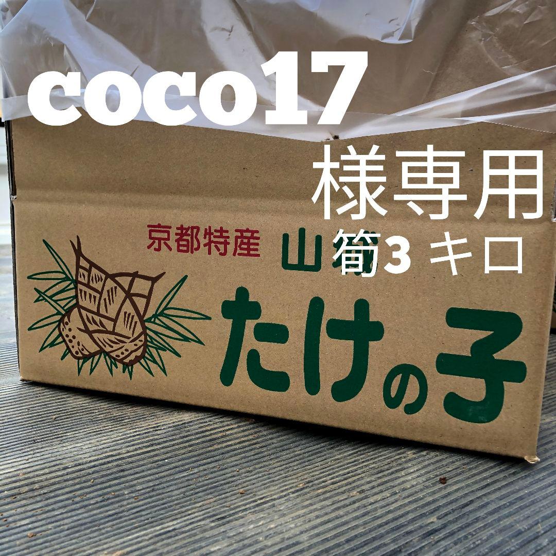 coco17　筍3キロ