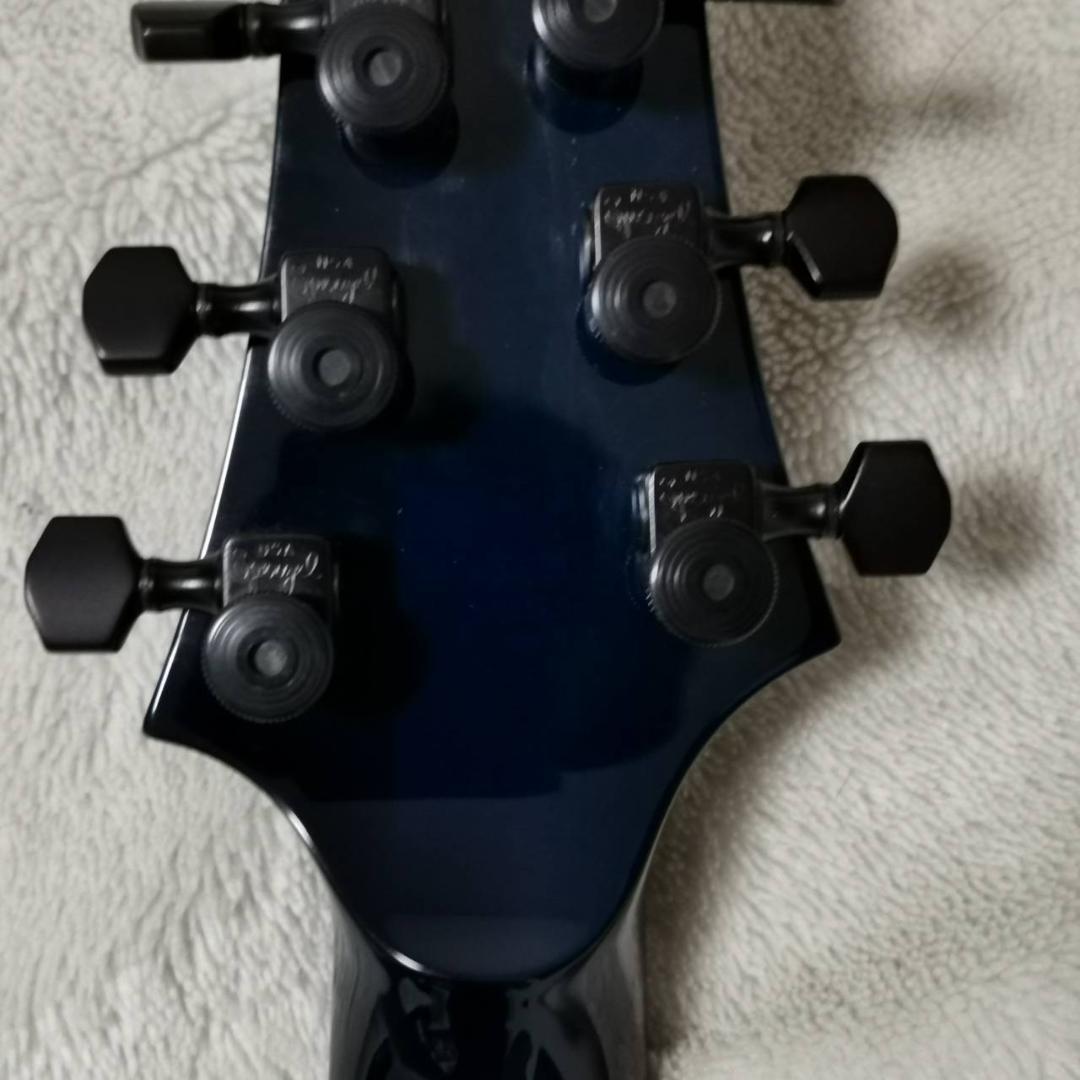 ESP　カスタムオーダーギター　フォレスト　FRX　FOREST