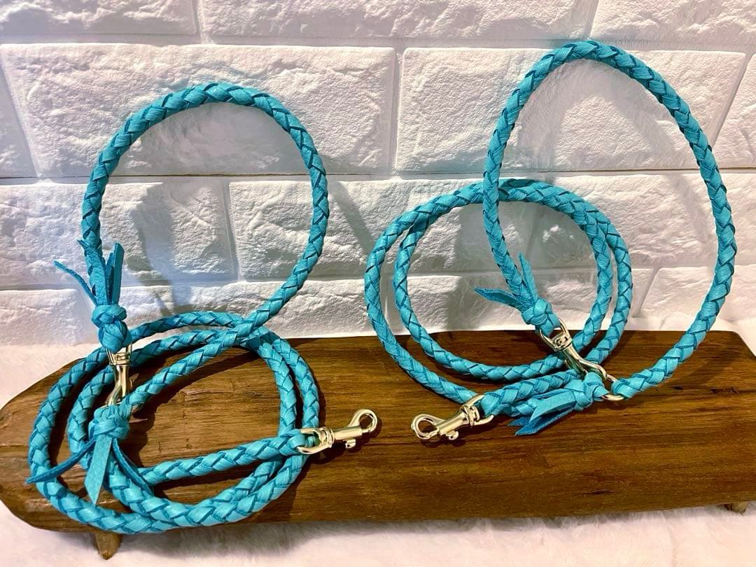 ☆ ロンハーマン☆★ ☆ 本革 イタリアンレザー カフェリード&チョーカー