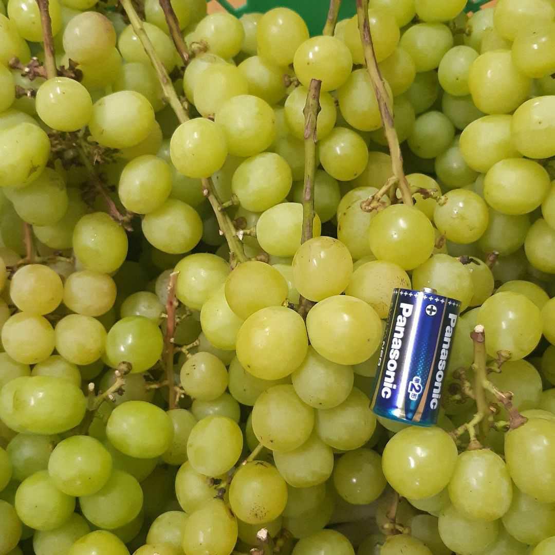 シャインマスカットの、家庭用房5キロ入りになります。房数はお任せになります。