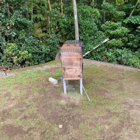 指宿産 日本蜜蜂 百花蜜500g×2