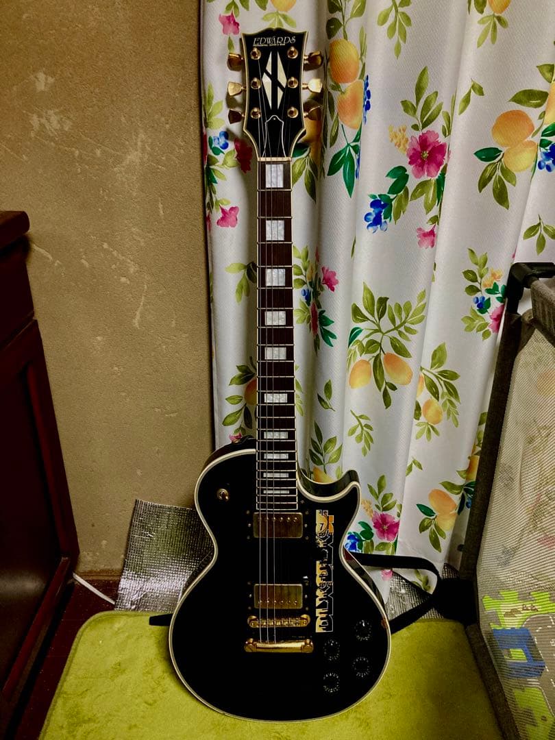 EDWARDS PRODUCED BY Navigator レスポールカスタム