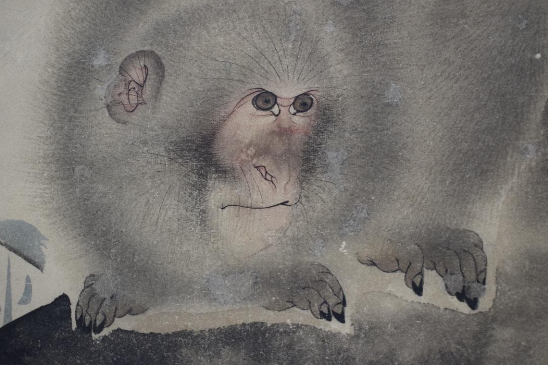 森祖仙/猿之図/岩上猿図/掛軸☆宝船☆Y-719　JM