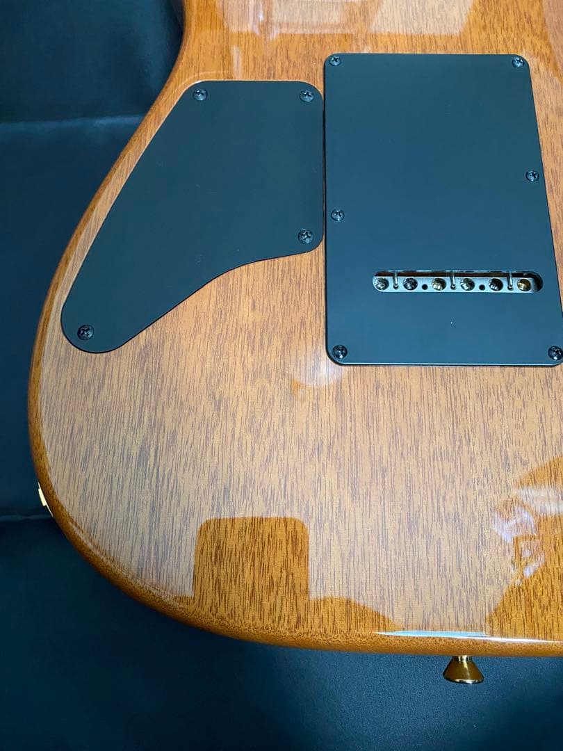 【極美品】T's Guitars DST-Pro24 ～Legend Blue～