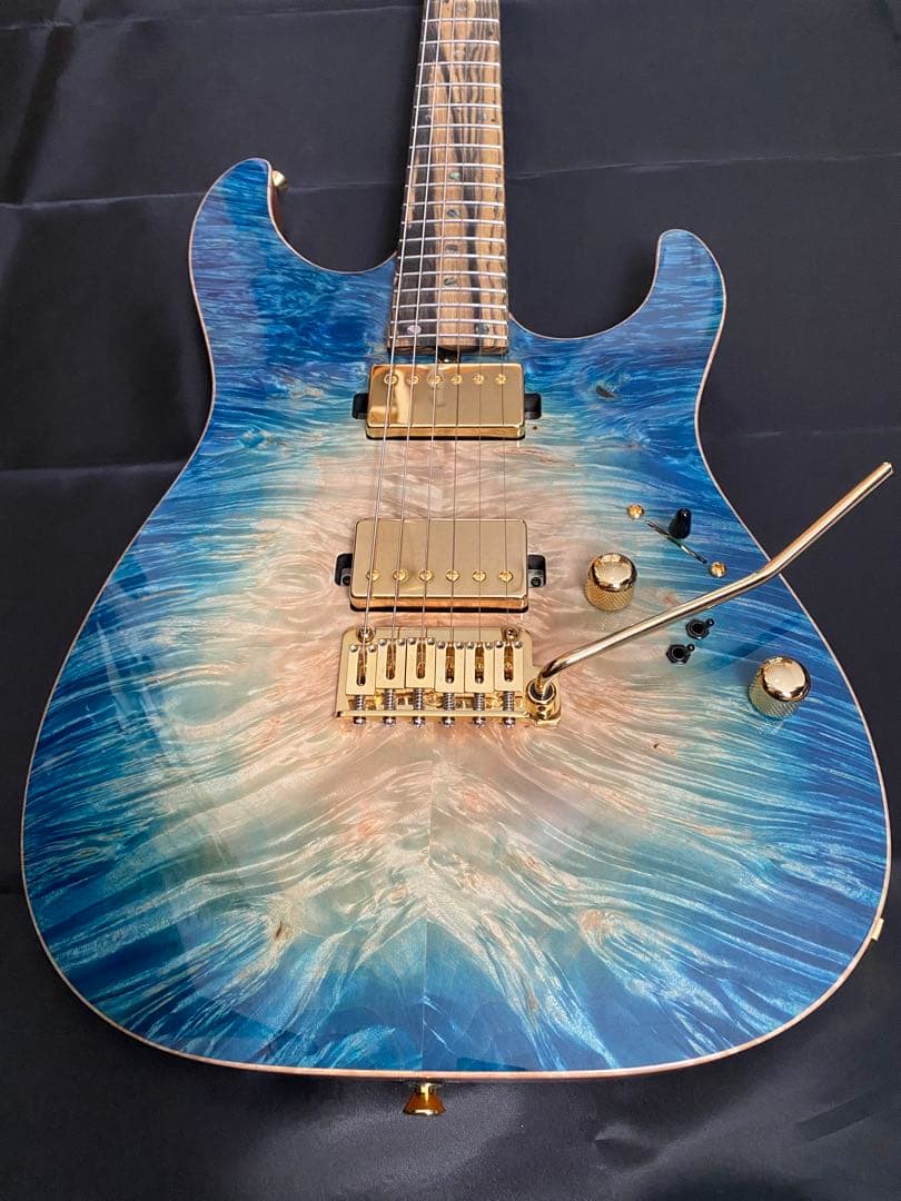 【極美品】T's Guitars DST-Pro24 ～Legend Blue～