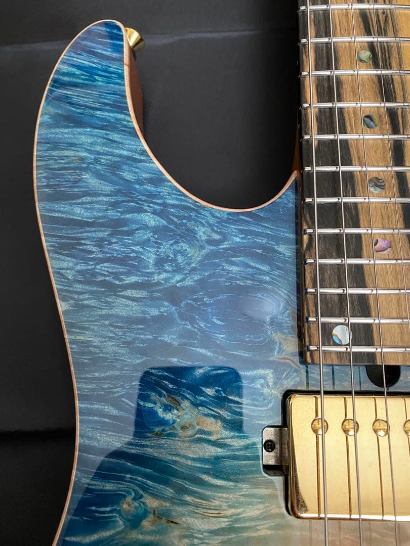 【極美品】T's Guitars DST-Pro24 ～Legend Blue～