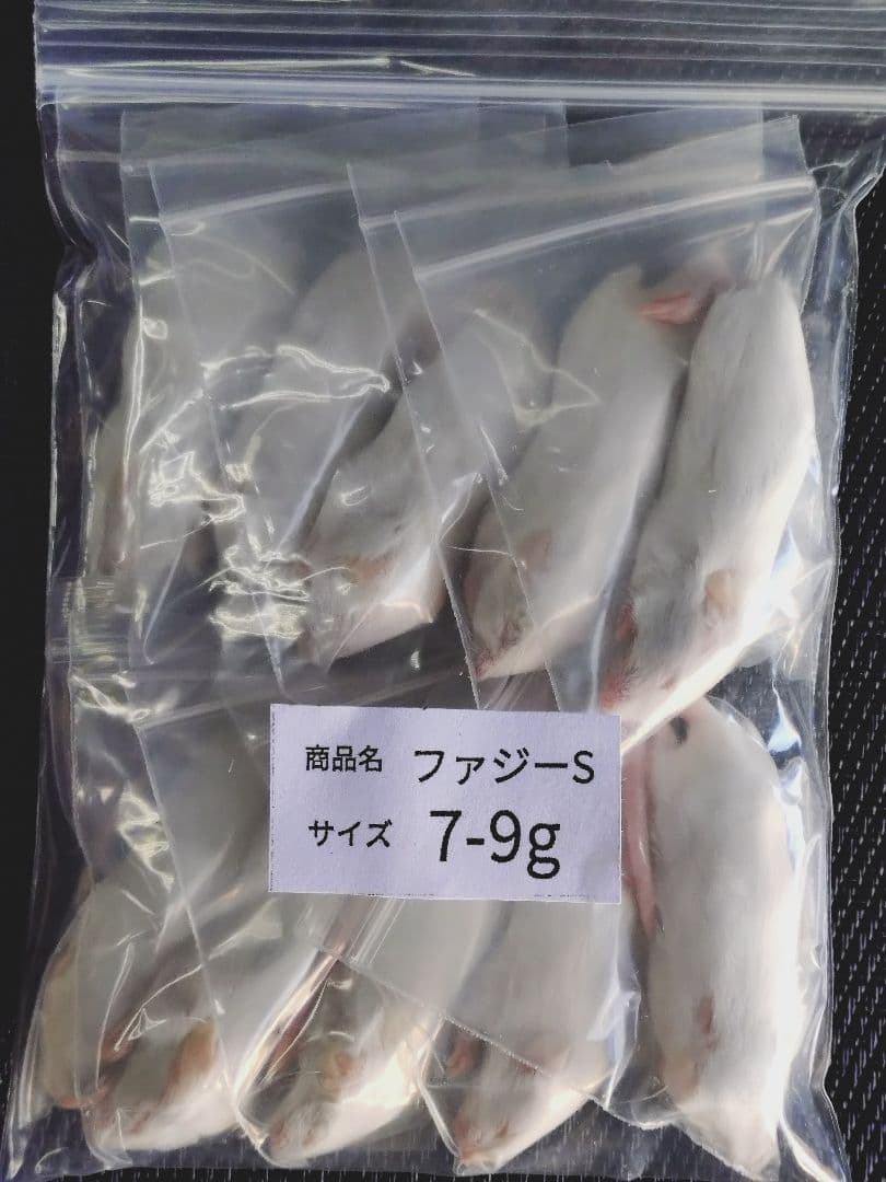 送料無料 冷凍マウスファジーS100匹　ホッパー20匹