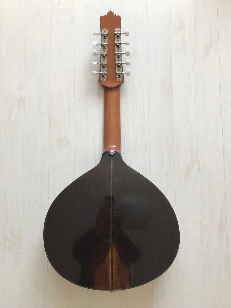 10弦バンドリン(マンドリン)