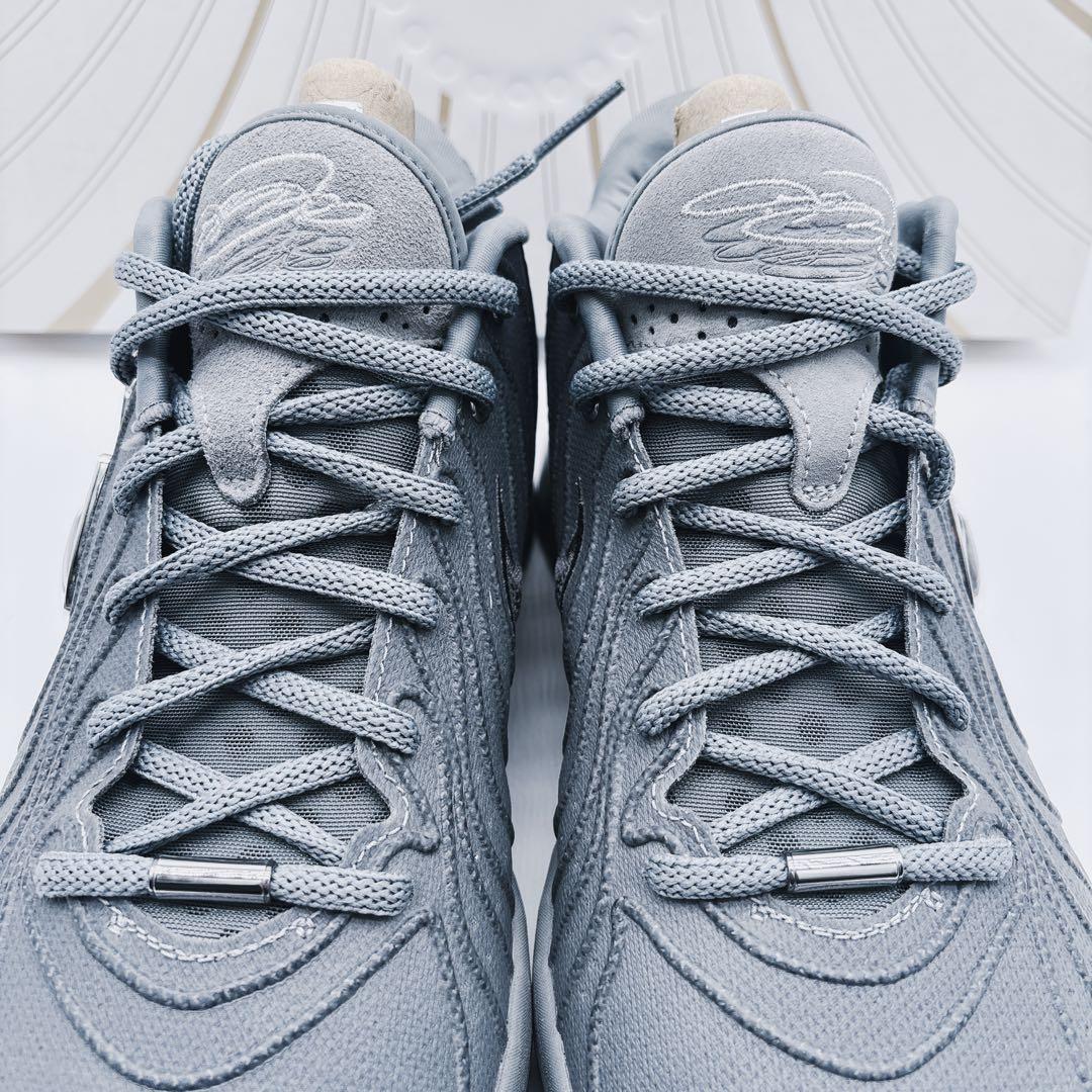 未使用級✨ Nike LeBron XXI EP レブロン21 \"クールグレー\"