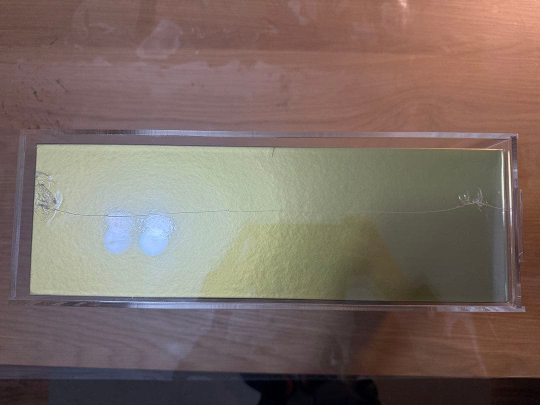 ポケモンカード25周年アニーバーサリーゴールデンボックス 未開封 25th 日本