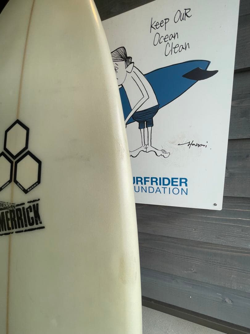 AL MERRICK ダンプスターダイバー