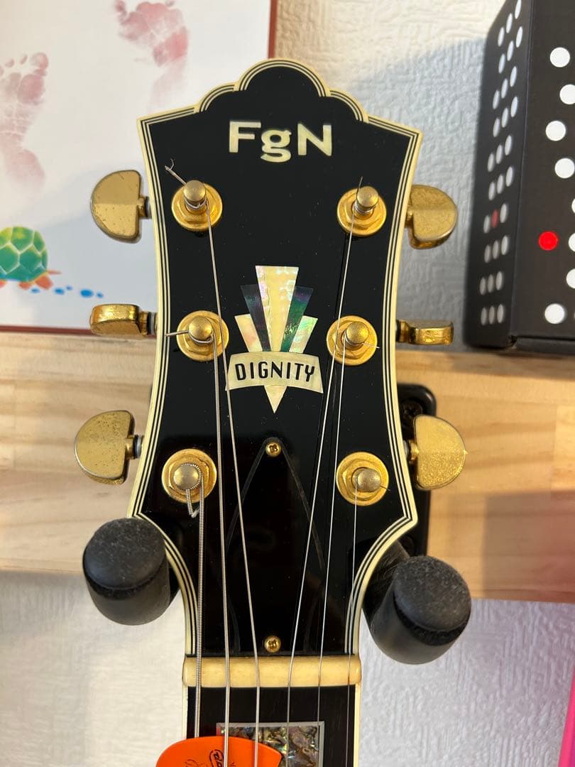 【FgN】フジゲン BAT-20CT/TTハードケース付き