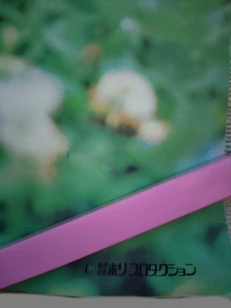 山口百恵　希少フジカラー店頭ポスター　当時品