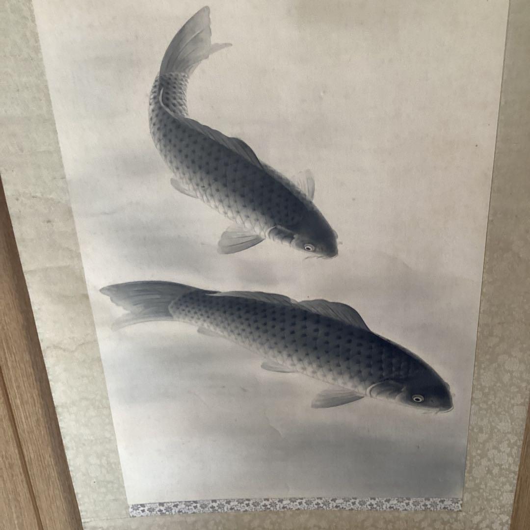 【新　樹　筆】　　絹本彩色画掛軸一幅　【　遊　鯉　図　】　共箱　軸先骨　476