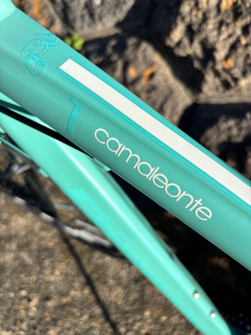 camaleonte 1 クロスバイク　 付属品ペダルサドルライトベル