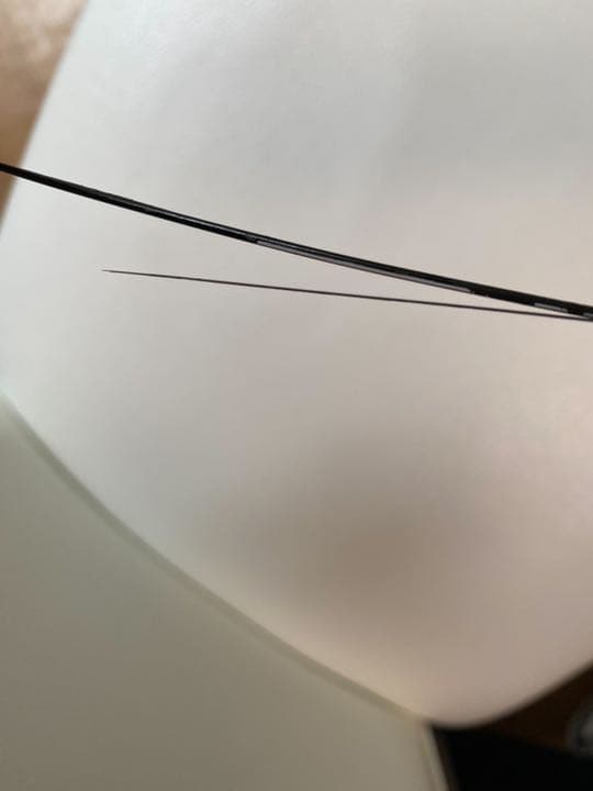 がま磯アオリイカ50-H