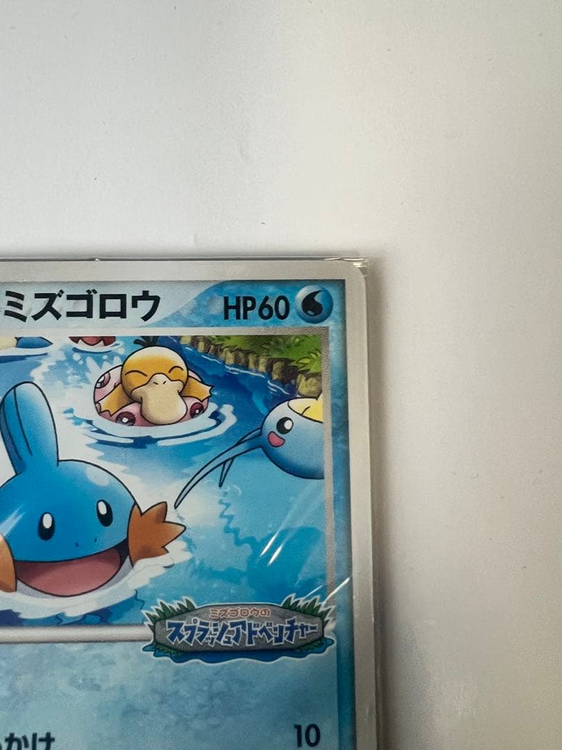 【未開封】ポケパークのミズゴロウ プロモ 048/PCG-P ポケモンカード