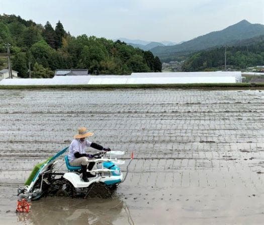 農家保有米 令和7年産 10キロ 玄米 コシヒカリ10kg(5kg×2) 新米