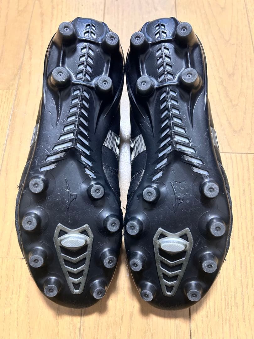 モレリアネオ4JAPAN 限定色　25cm