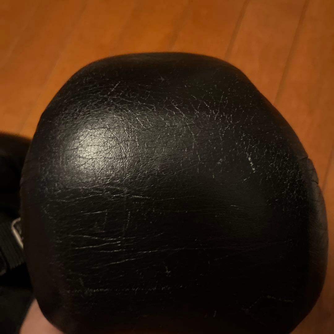 専用　日本拳法　ボクシング　グローブ